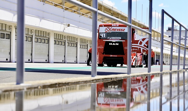 天津津门虎 天津津门虎