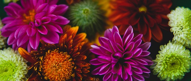 独行侠队球迷怒声呼喊“解雇尼科”尼科·哈里森蒙受压力.