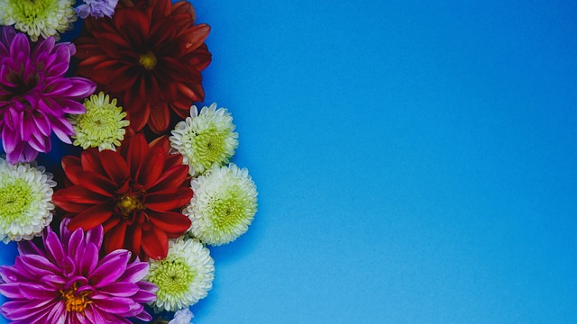 鍵時刻替補 鍵時刻替補