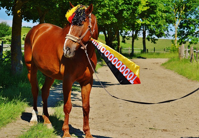 第二个进球 第二个进球