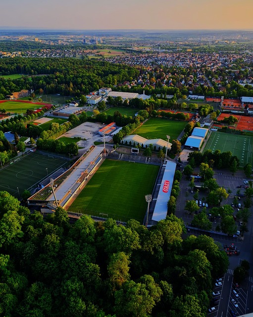 埃弗顿名宿半场对曼联球员挥肘 B费不满遭反问.