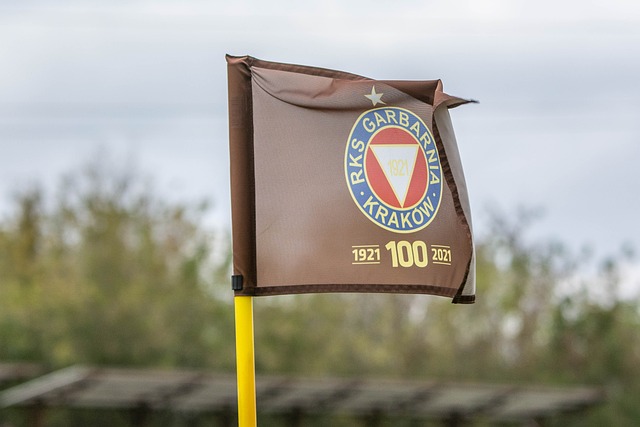 这样的表现 这样的表现